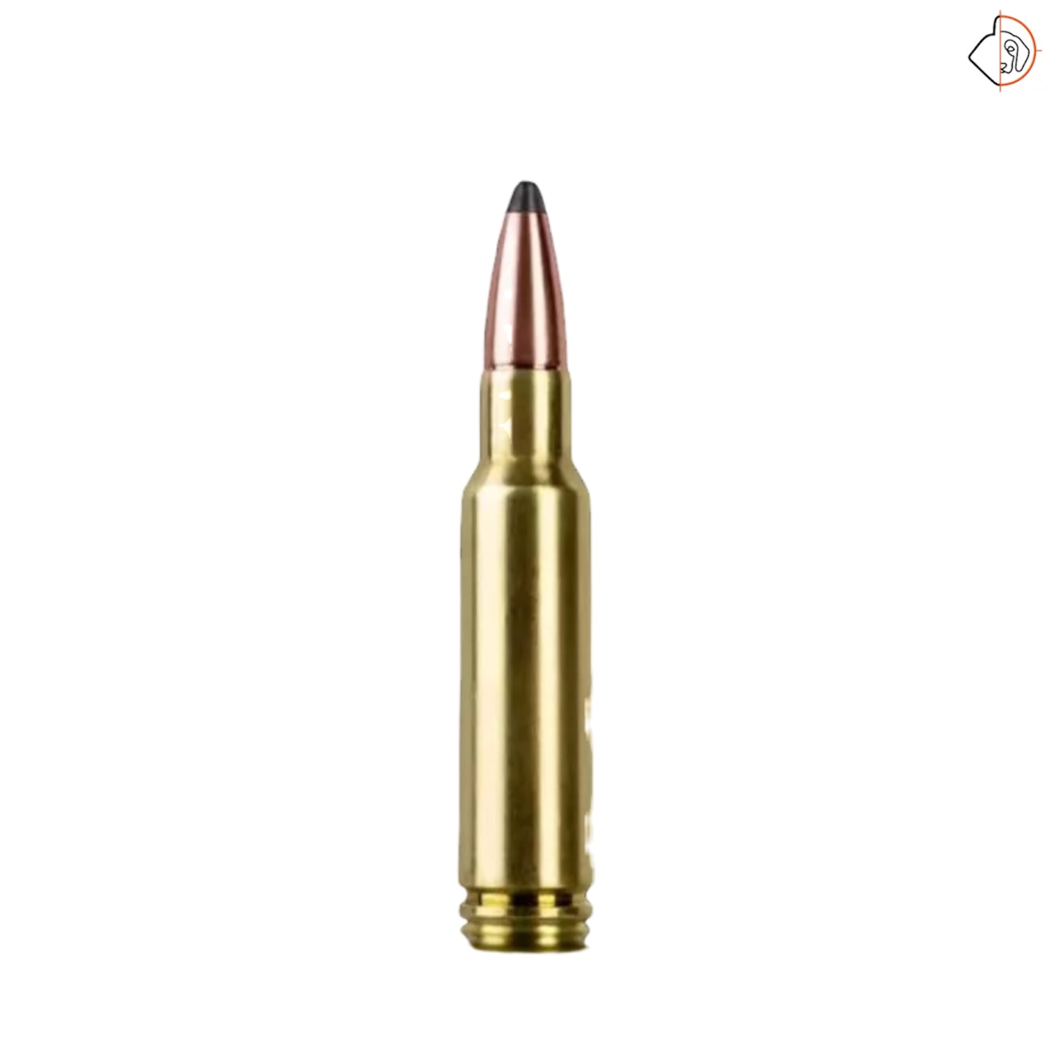 BLASER 8.5x55 210 gr Norma Soft Point – Image 2